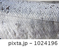 1024196