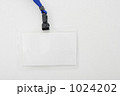 1024202