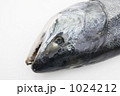 1024212