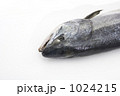 1024215