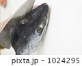 1024295