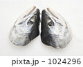 1024296