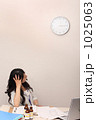 1025063