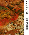 北穂高岳へ