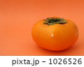 1026526