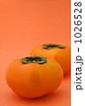 1026528