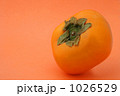 1026529