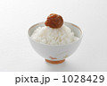 梅干とご飯