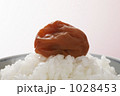 梅干とご飯