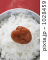 梅干とご飯