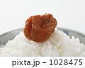 梅干とご飯