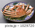 1029720