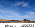 冬の多摩川
