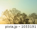 朝