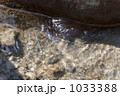 1033388