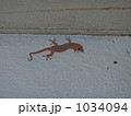 1034094