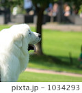 あっかんべ～