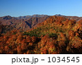 白神山地の紅葉