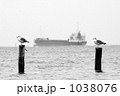 素材ナンバー 1038076 : 「２羽のカモメ」