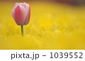 なかまはずれ