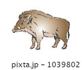 イノシシ　200910＿89