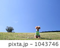 トイプーと青空