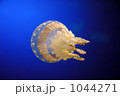 1044271