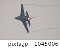 1045006