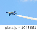 ブルーインパルス