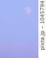 夕月