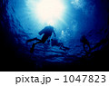 素材ナンバー 1047823 : 「under water」