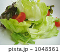 新鮮サラダ☆ 新鮮サラダ☆