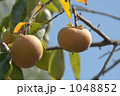 1048852