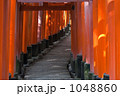 1048860