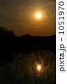 大泉緑地夕日