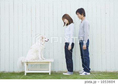 「新婚 カップル 夫婦 人物 」の写真素材 「新婚 カップル 夫婦 人物 」の写真素材