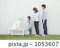 1053607