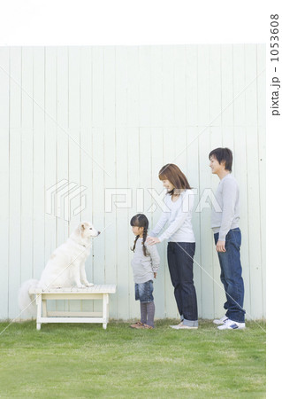 「親子 ファミリー 家族 」の写真素材 「親子 ファミリー 家族 」の写真素材