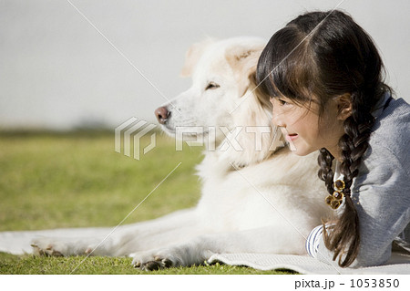 「犬 こども 少女 人物 女の子 」の写真素材