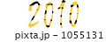 2010トラ柄