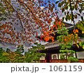 1061159