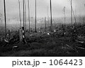 1064423