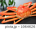 ずわい蟹