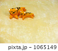 トラ親子