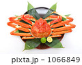 ずわい蟹