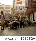 インドの朝