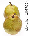 1067904