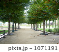 1071191