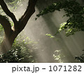 1071282