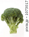 1073017